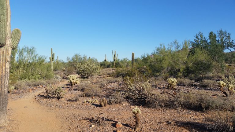 Example of trail at Brown's Ranch, Scottsdale, Arizona