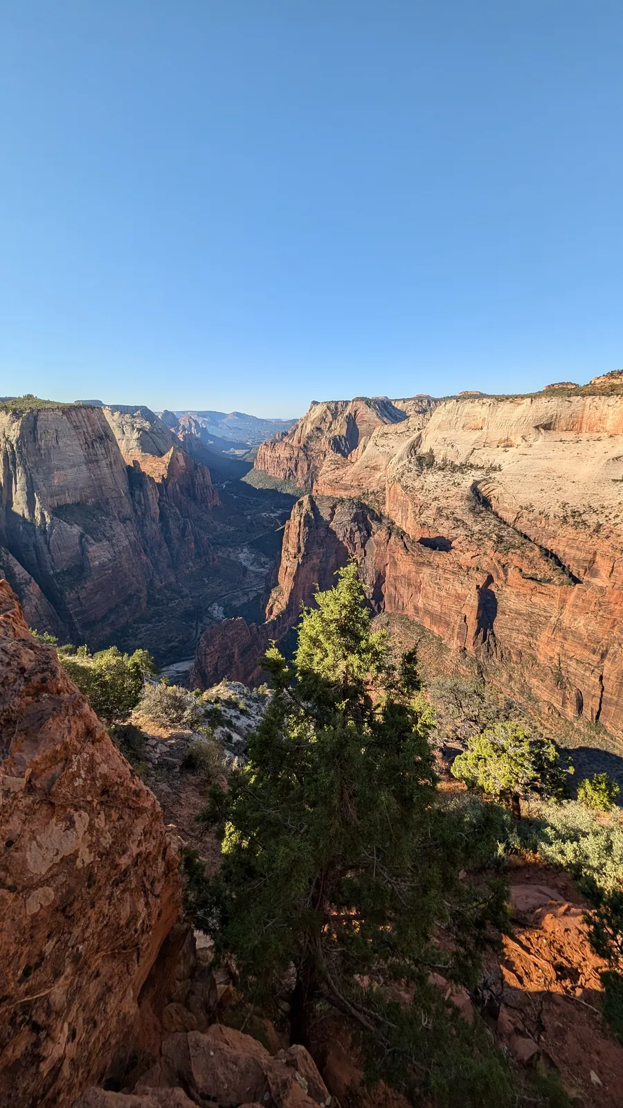 Looking down Zion Canyon from the edge of Observation Point