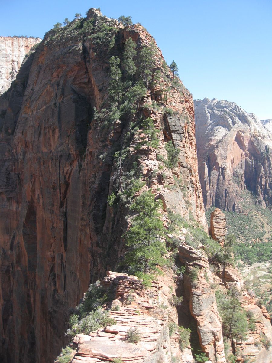 The narrow trail path along the Angels Landing spine